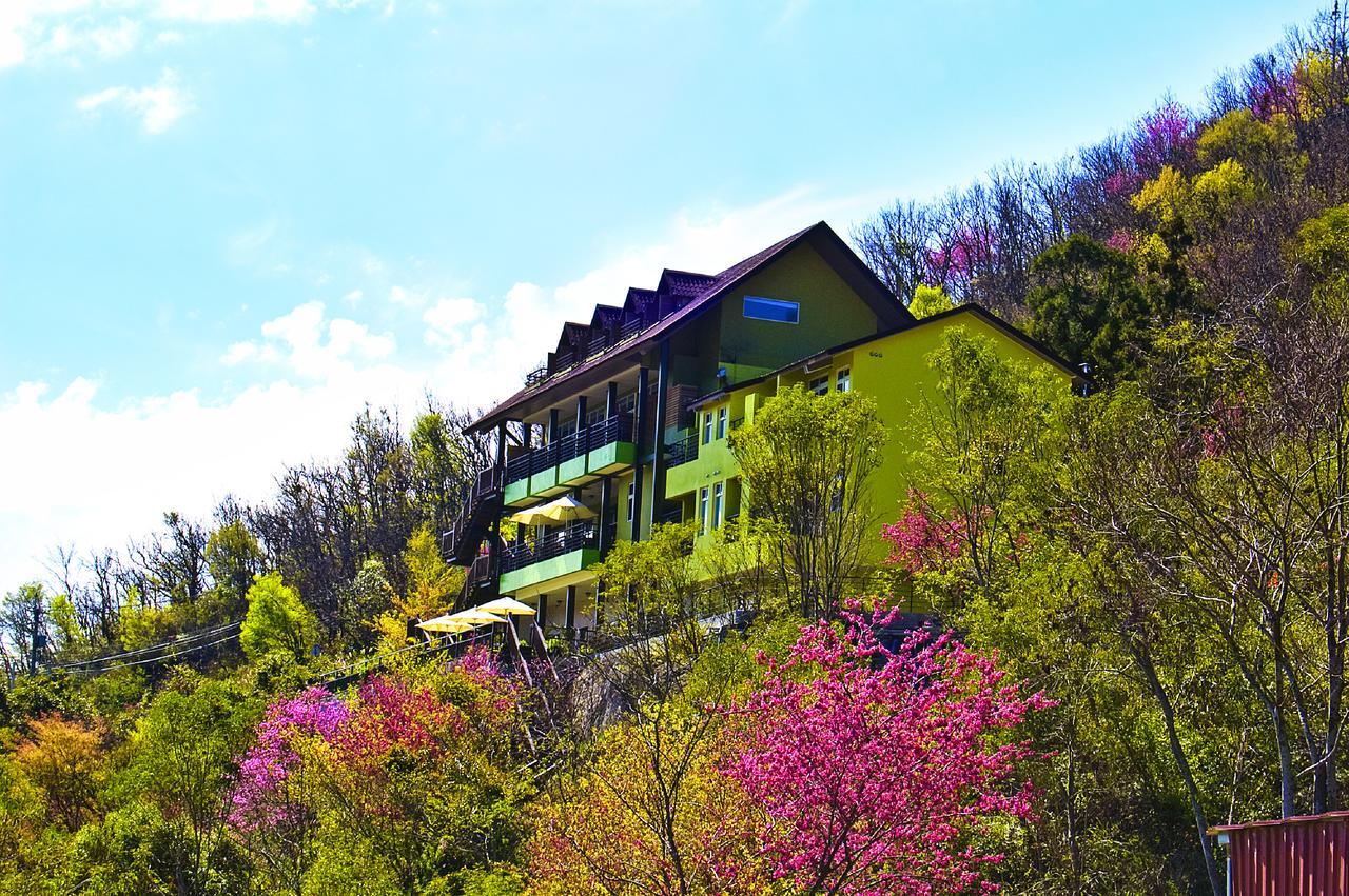 רן-איי Sunnydale B&B מראה חיצוני תמונה
